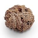 chajarat mariam grossesse avis, Comment Utiliser la Rose de Jéricho, comment utiliser la rose de jericho pour l'accouchement, Des plantes pour tomber enceinte, La plante naturelle luttant contre l'infertilité, la rose de jericho, la rose de jéricho dans la bible, La rose de Jéricho et ses utilisations spirituelles, Les bienfaits de la rose de jericho, les pouvoirs de la rose de jéricho, quand et comment boire la rose de jéricho ?, rose de jéricho accouchement, rose de jericho bienfait, rose de jericho fertilité, rose de jericho mode d'emploi, rose de jéricho ou acheter, rose de jericho pour l'amour